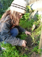 Gardening with Children