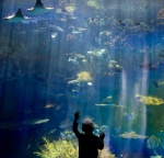 How Awe Can Help Students Develop Purpose